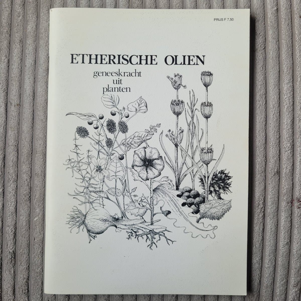 Etherische Oliën: geneeskracht uit planten